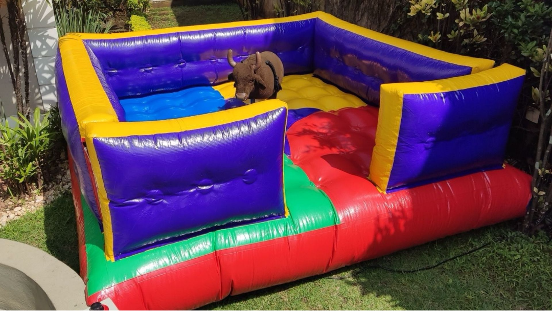 Baby Bull para Festas para aluguel em festa infantil na Zona Leste de São Paulo - Luck Kids (opção 6)