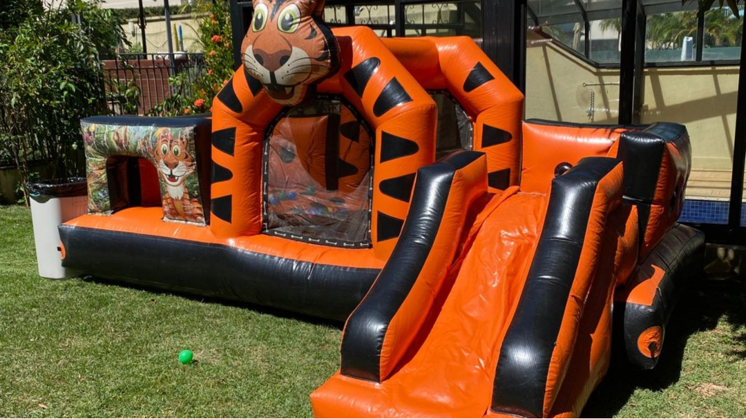 Multi Play TigrãoTemático para aluguel em festa infantil na Zona Leste de São Paulo - Luck Kids (opção 2)
